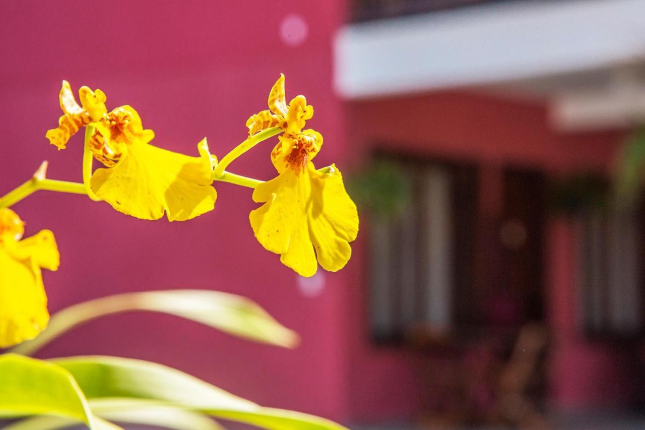 Suites Las Flores Maresias Luaran gambar